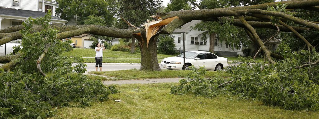 Local Storm Cleanup