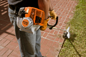 Sidewalk-edging Lawn Care 