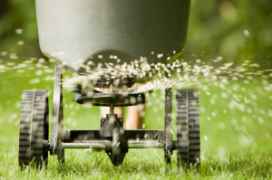 lawn-fertilization-fine-cut-Lawn Care 